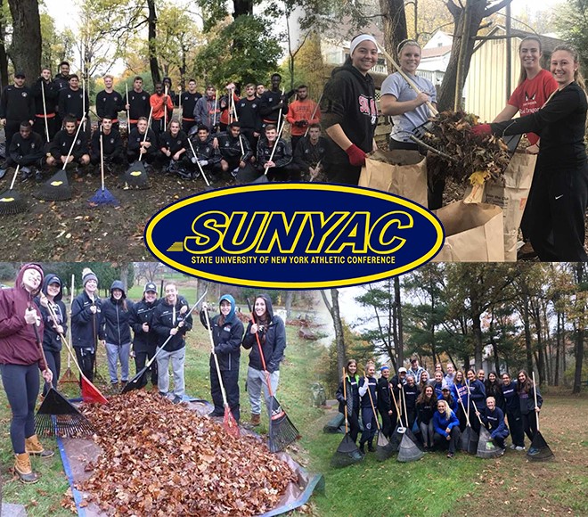 2017 SUNYAC wide Leaf Raking Project