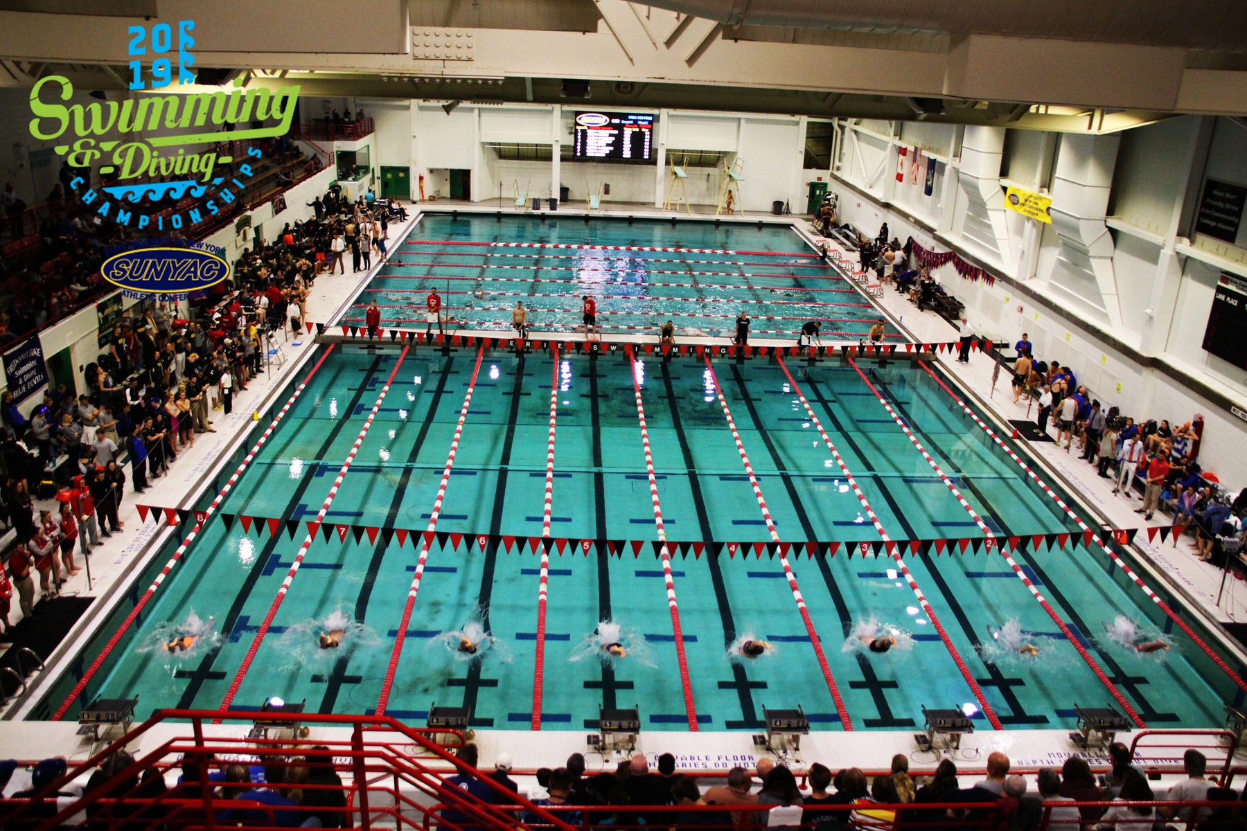 2019 SUNYAC Swimming and Diving Championships