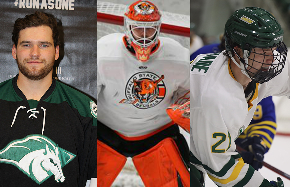 Melso, Norrman and McQuade Earn Ice Hockey Weekly Honors