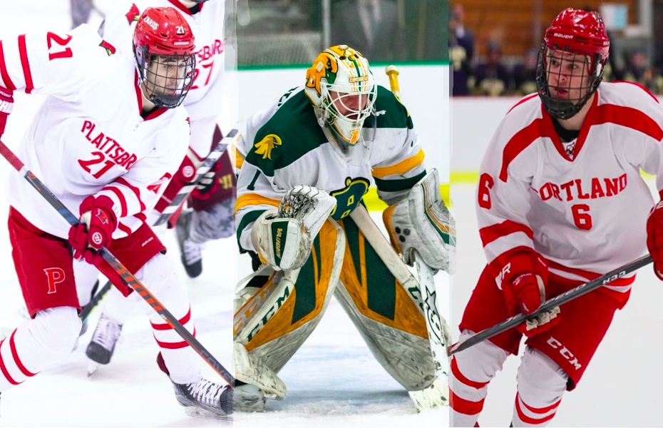Homitz, Schneider & Tretowicz earn PrestoSports Men's Ice Hockey Weekly honors