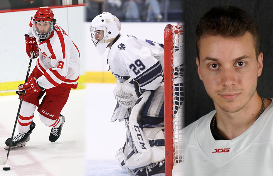 Berke, Harris and D'Addario Take SUNYAC Men's Ice Hockey Weekly Honors