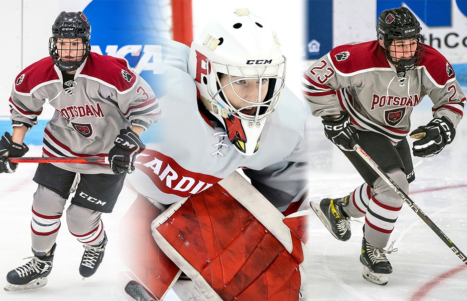 Teachout, Nease and Castro Named SUNYAC Women's Ice Hockey Athletes of the Week